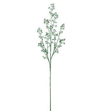 GREEN BERRY SPRAY