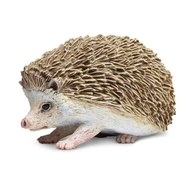 HEDGEHOG