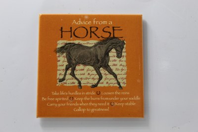 ADVICE FROM A HORSE MAGNET