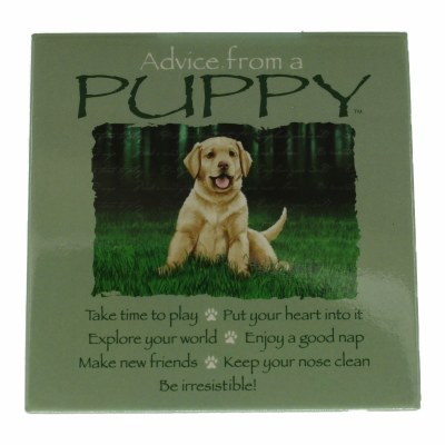 ADVICE FROM PUPPY MAGNET