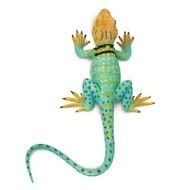 COLLARED LIZARD