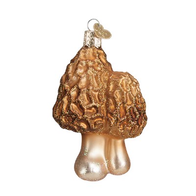 MOREL MUSHROOMS