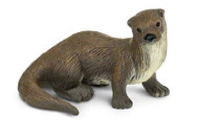 RIVER OTTER