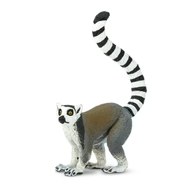 RINGTAILED LEMUR