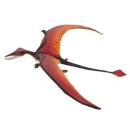 RHAMPHORHYNCHUS