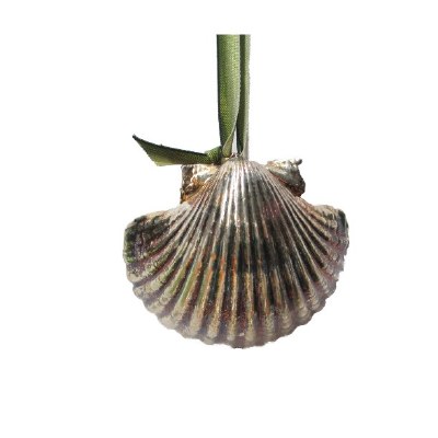PECTIN SHELL SILVER