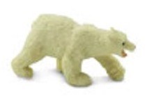 POLAR BEAR