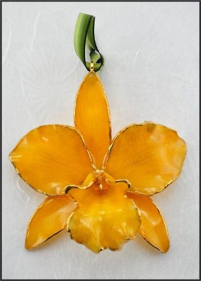 CATTLYA ORCHID YELLOW