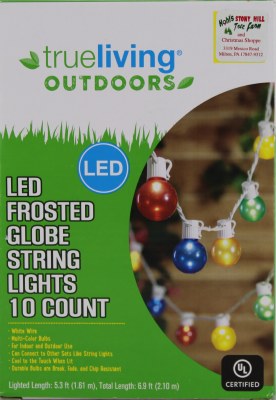10 CT FROSTED GLOBE LIGHTS