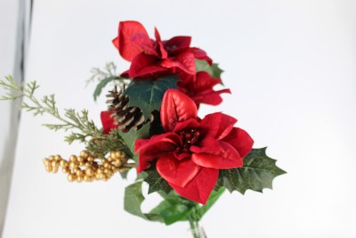 POINSETTIA BERRY PICK