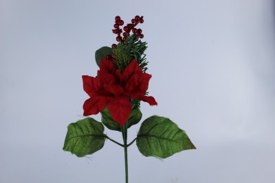 POINTSETTIA MIX PICK
