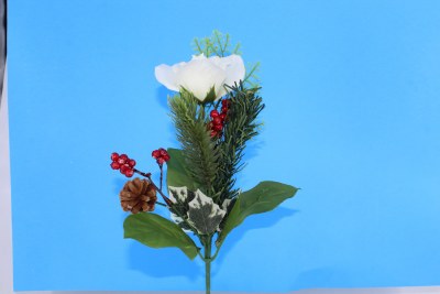 ROSE AND BERRY PICK