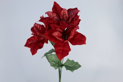 RED POINTSETTIA PICK