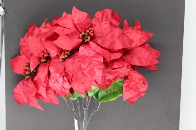 RED POINTSETTIA
