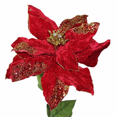 RED/GOLD POINTSETTIA
