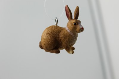 BROWN RABBIT