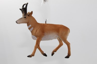 PRONGHORN