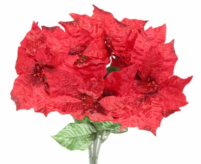 RED GLITTER POINTSETTIA