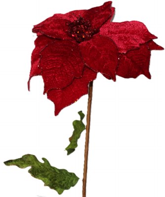 RED VELVET POINTSETTIA