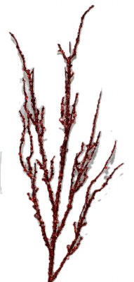 RED TWIG SPRAY