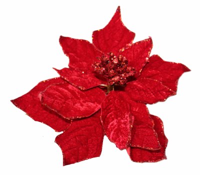 RED GLITTER POINTSETTIA