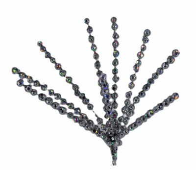 SILVER BERRY PICK