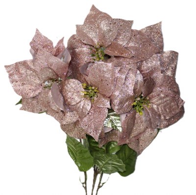 PINK POINTSETTIA