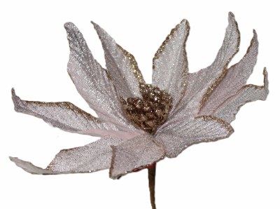 ROSE GOLD POINTSETTIA