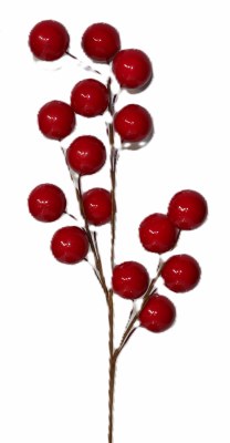 BERRY SPRAY