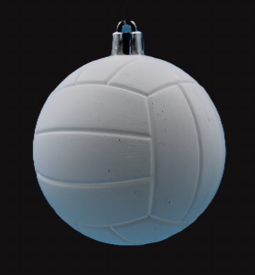 VOLLEYBALL