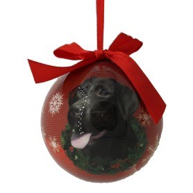LABRADOR BLACK BALL
