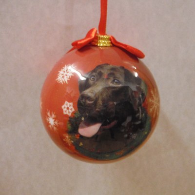 CHOCOLATE LAB BALL