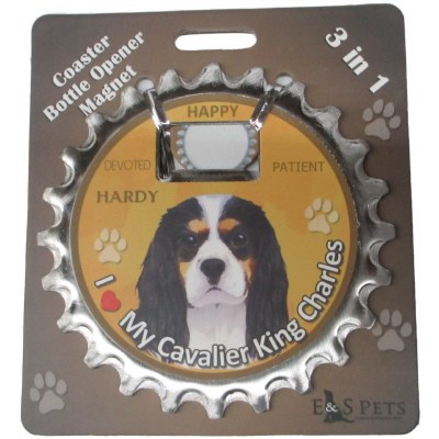 CAVALIER MAGNET