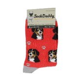 BERNESE MT DOG SOCKS