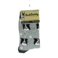 BORDER COLLIE DOG SOCKS
