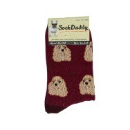 COCKER SPANIEL DOG SOCKS
