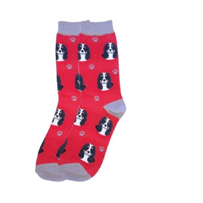 CAVALIER SOCKS