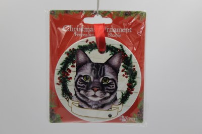 TABBY CAT