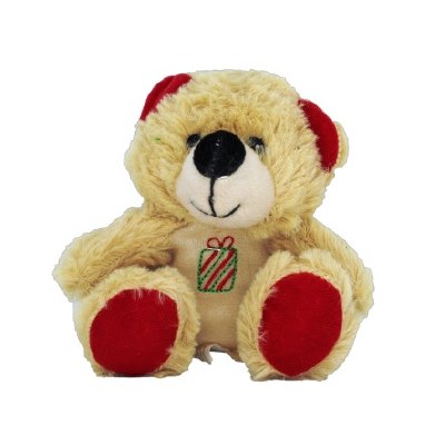 PLUSH TEDDY BEAR PRESENT