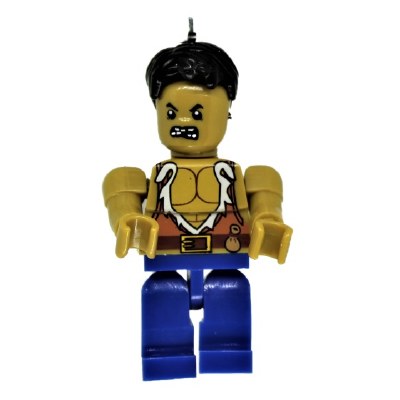 PIRATE CONSTRUCTION BLOCKS
