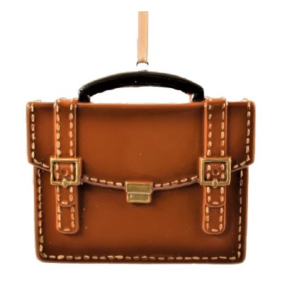 BRIEF CASE