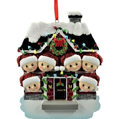 NEW HOUSE FAMILY OF 6