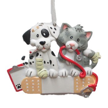 CAT AND DOG WITH BANDAGE