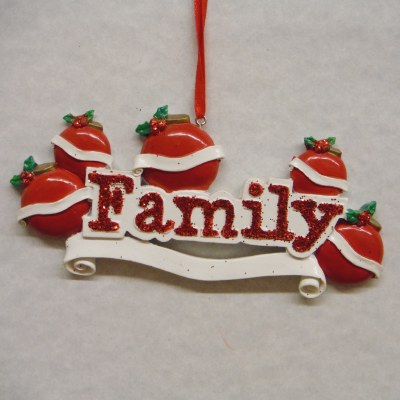FAMILY 5 WITH BALLS