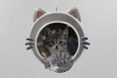 GRAY CAT PICTURE FRAME