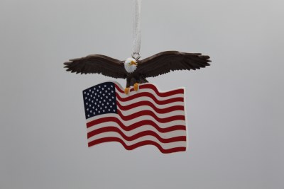 AMERICAN FLAG