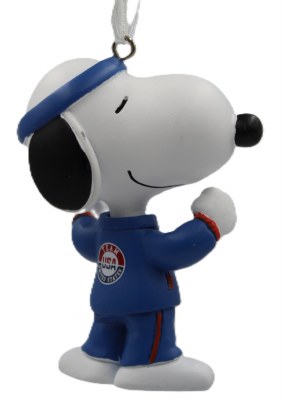 TEAM USA SNOOPY