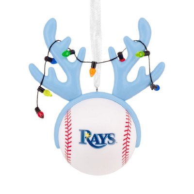 TAMPA BAY RAYS
