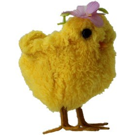 CHICK PURP