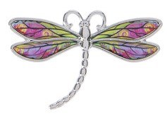 DREAM DRAGONFLY
